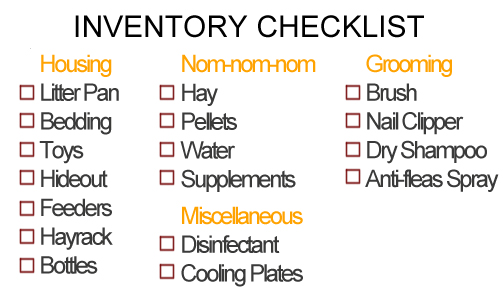 Rabbit Checklist For First Time Owners Moo Moo Pets Blog