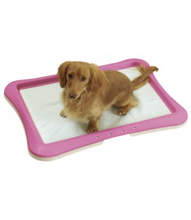 Richell Regular Training Pink Step Tray 