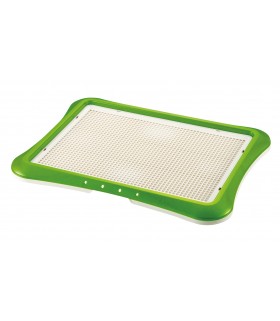 Richell Wide Training Green Step Tray
