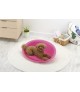Richell Pink Oval Pet Bed M