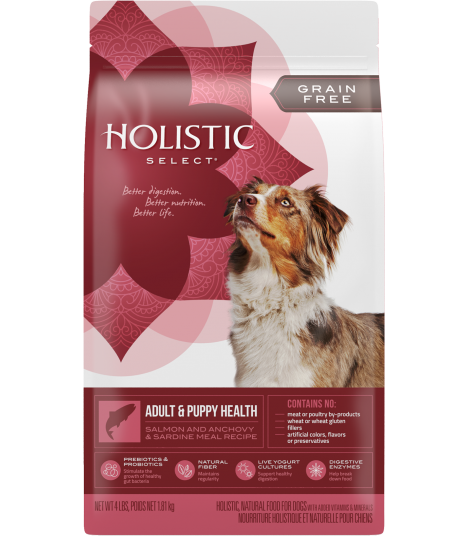 holistic health dog food