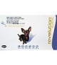 Revolution Extra Small Dogs 2.5kg - 5kg (3 tubes)