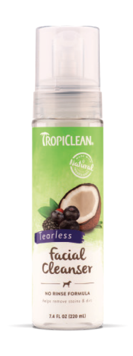 waterless face cleanser