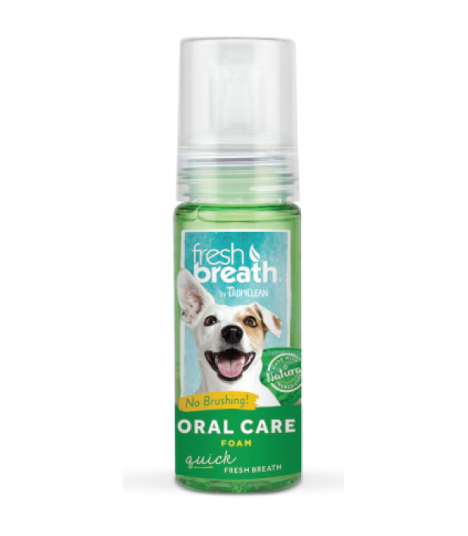 fresh breath oral care foam