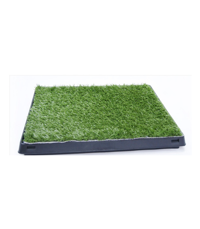 dog pee tray grass