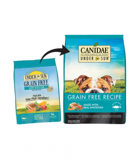 canidae under the sun