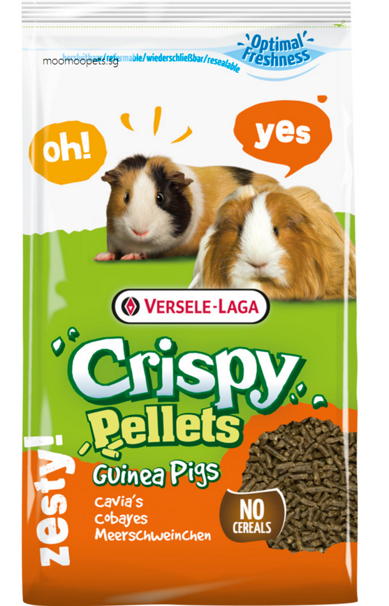 Crispy Muesli Guinea Pig 2025