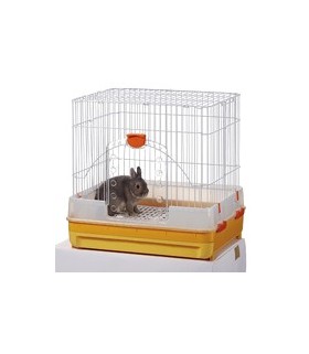 MR307 Rabbit Package A