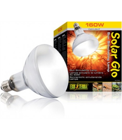solar glo bulb
