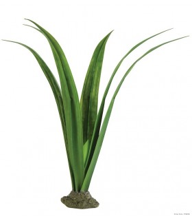 Exo Terra Pandanus - Smart Plant / Gecko Plant 
