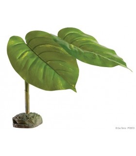 Exo Terra Scindapsus - Smart Plant / Tree Frog Plant 