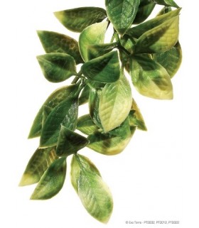 Exo Terra Jungle Plant Mandarin (Hanging)