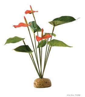 Exo Terra Anthurium Bush
