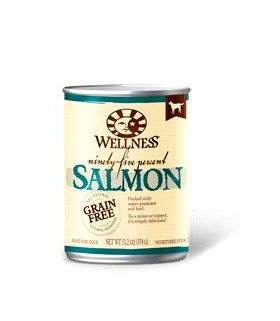 wellness 95 salmon