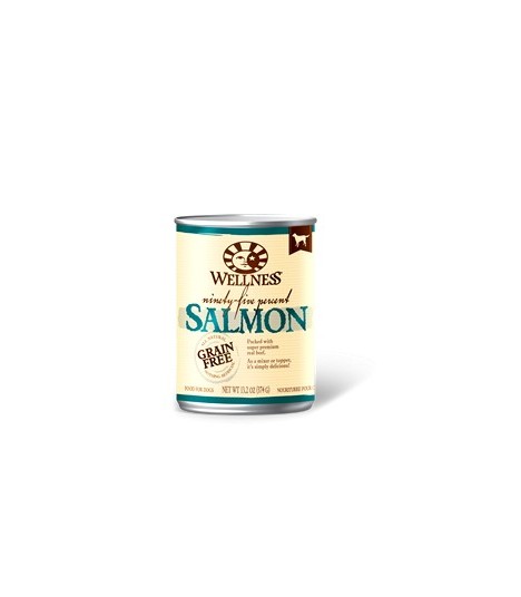 wellness 95 salmon