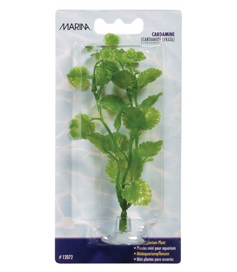 Hagen Marina Mini Cardamine 10cm