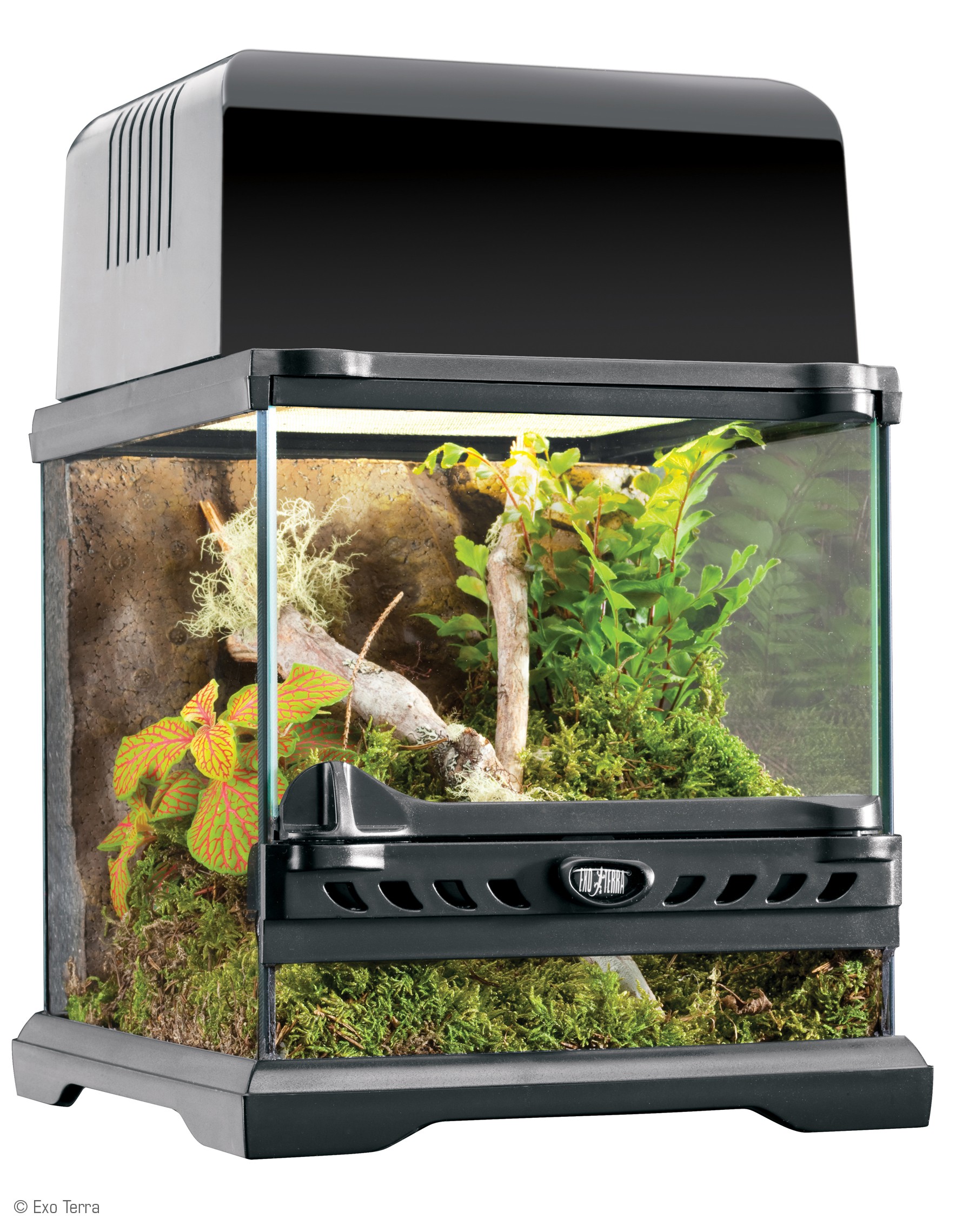 http://moomoopets.sg/mmp/4025/exo-terra-natural-terrarium-nano-advanced-reptile-habitat.jpg