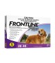 Frontline Plus for Large Dogs 20 - 40kg (6 tubes)