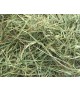 American Pet Diner APD Timothy Gold Hay