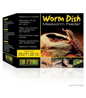 worm dish mealworm feeder