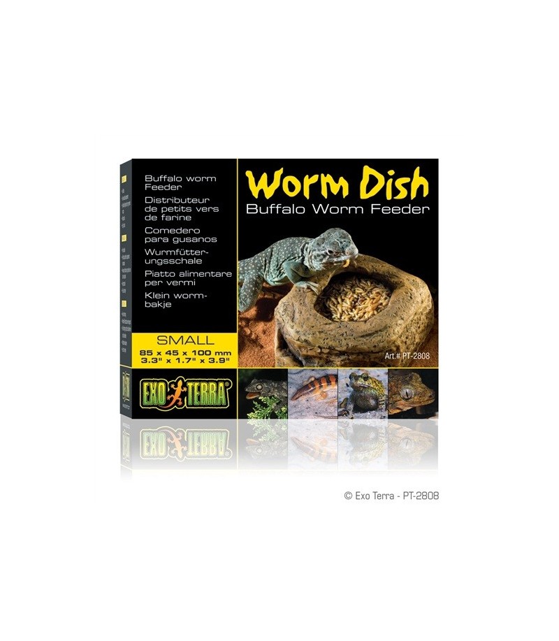 worm dish mealworm feeder