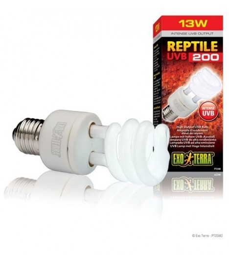 best uv light for reptiles