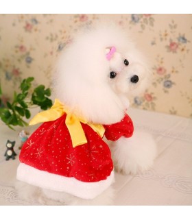Winter New Year Dress