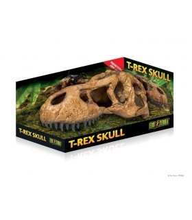 Exo Terra T-Rex Skull Hiding Cave