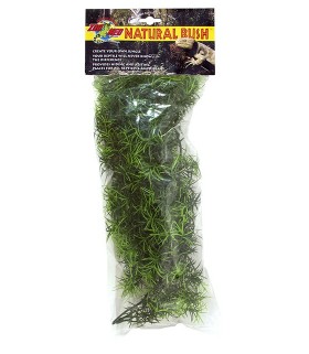 Zoo Med Natural Bush Plants - Cashuarina
