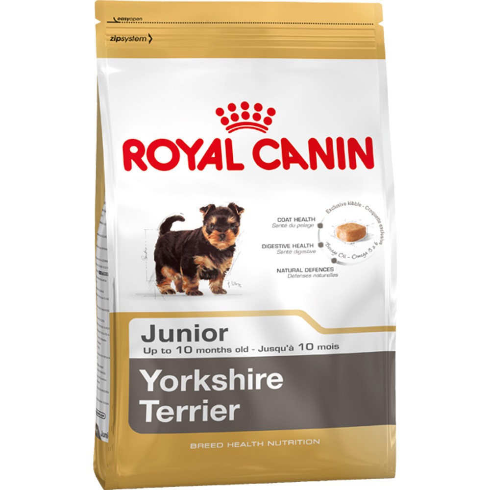 yorkshire terrier royal canin puppy