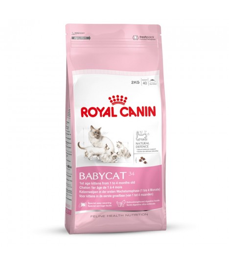 royal canin kitten 34