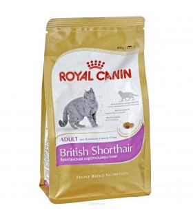 Royal Canin British Shorthair 4kg