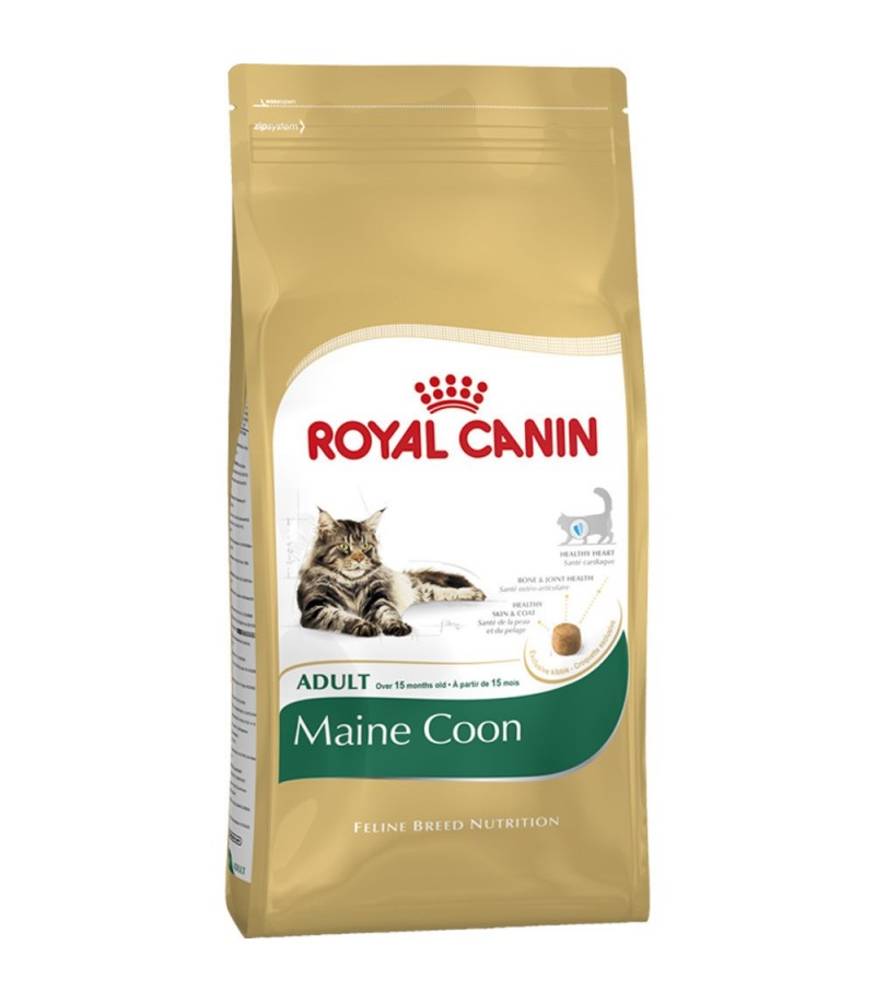 royal canin maine coon adult 10kg