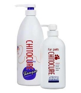 Chitocure Brightening Shampoo 420ml