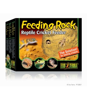 Exo Terra Feeding Rock / Reptile Cricket Feeder 