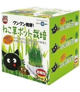 Marukan Cat Grass Pot 3pcs/set