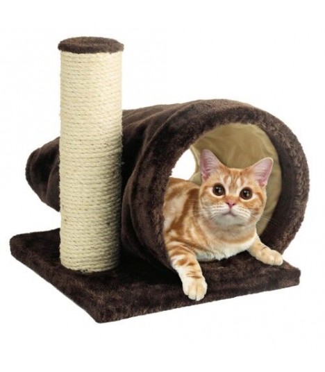 cat scratch tunnel