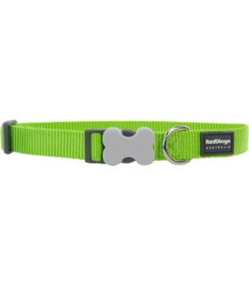 Red Dingo Lime Green Bucklebone Collars (Small)