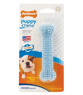 nylabone puppy starter kit