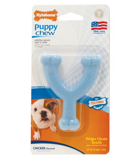 nylabone puppy starter kit