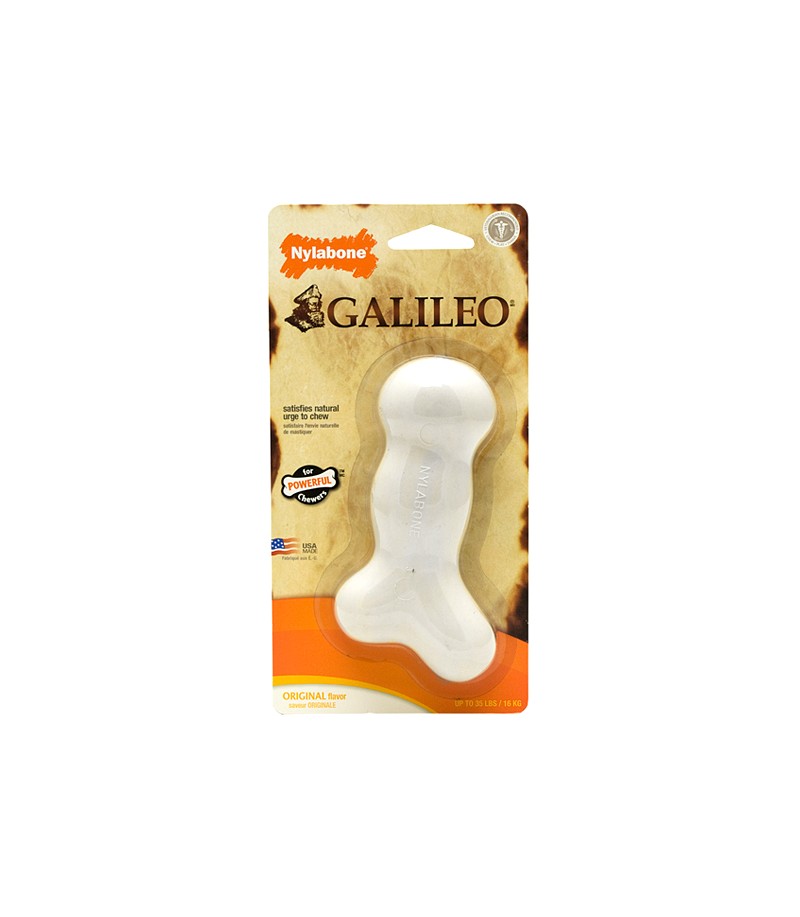 galileo bones nylabone