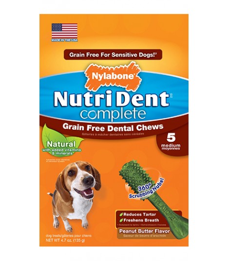 nylabone grain free