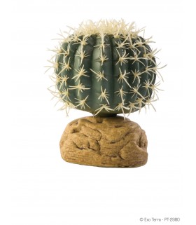 Exo Terra Cactus