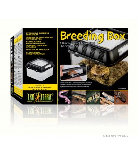 Exo Terra Breeding Box / Stackable Breeding Terrarium S