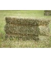 Unbranded USA Second Cut Timothy Hay Bale