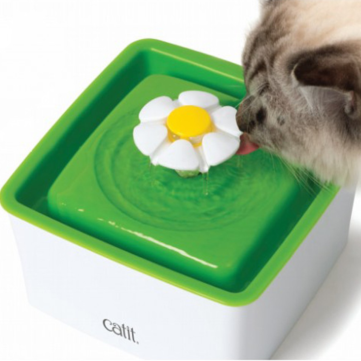 catit senses 2.0 drinking flower fountain