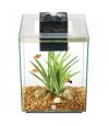 Hagen Fluval Chi Aquarium 19L