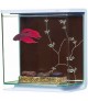 Hagen Fluval Marina Betta Contemporary Kit 3L