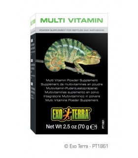 Exo Terra Multi Vitamin Powder Supplement 70g