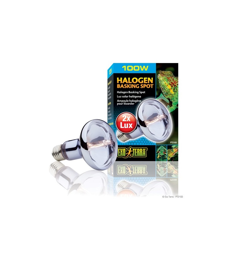 Exo Terra Halogen Basking Spot
